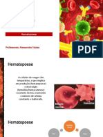 Produção das células sanguíneas (Hematopoese