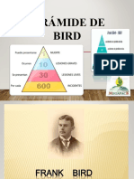 Piramide de Bird 1