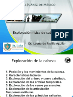 Exp Cabeza II