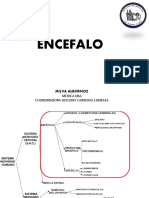 Encefalo PDF