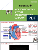 Morfofisiologia II Sistema Cardiovascular 