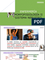 04 Morfofisiologia II Sistema Nervioso Septiembre 7 2022 3551