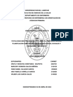 Patologías Mas Frecuentes en La Edad Adulta. Profilaxis Sexual, Planificacion Familiar. Necesidades Biologicas, Psicologicas y Sociales