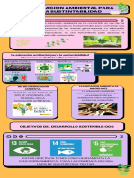 Infografía Cuidados Plantas Interiores Ilustrado Natural Verde