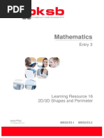 LR 16 Maths E3 2d3d Shapes and Perimeter