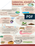 Infografía Microbiología Ambiental
