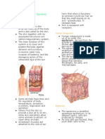 Integumentary System