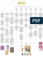 Mapa Conceeptual - Semiología