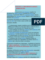 Exploration de La Thrombodynamique Ou Fibrinolyse