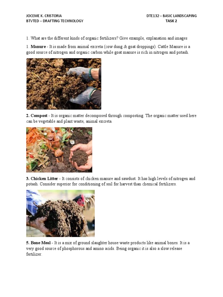 Organic and Fertilizers A Comparison of Types, Components, Advantages and