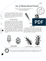 Insect Pests of Home-Stored Foods: Dermestid Beetles