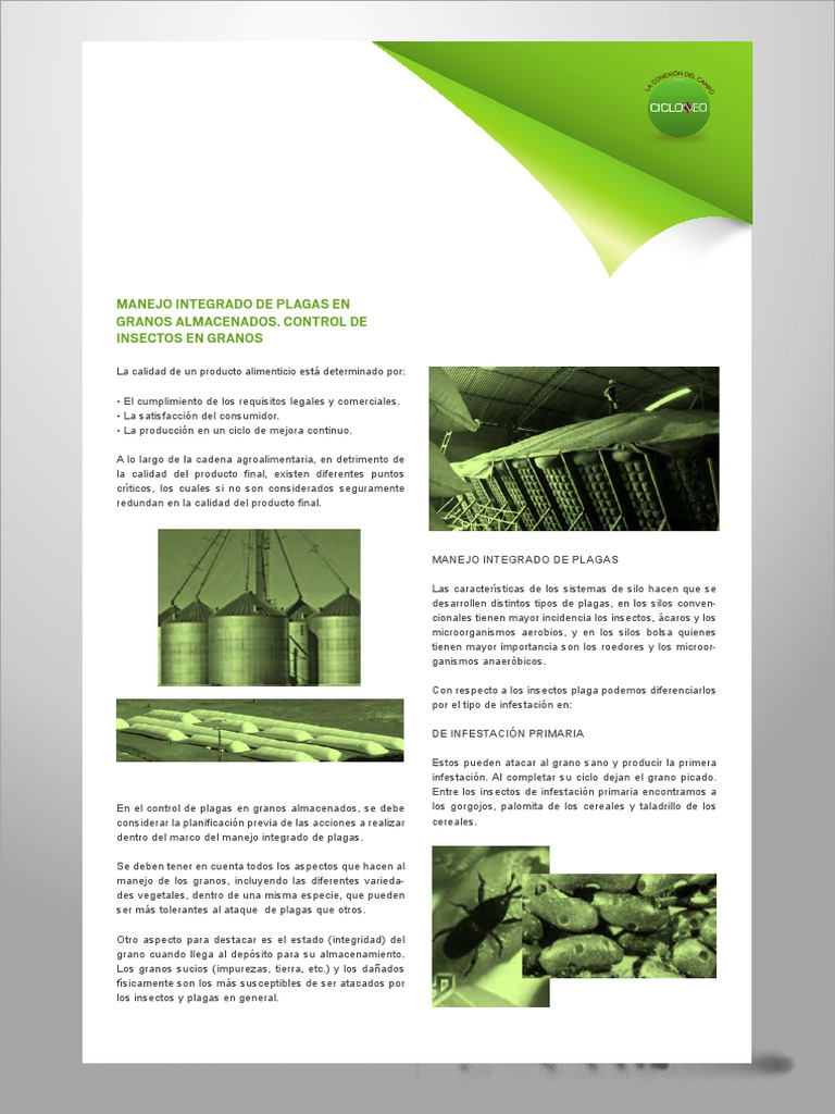 Control de Plagas en Granos Almacenados | PDF | Pesticida | Plaga ...