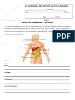 Atividade Corpo Humano