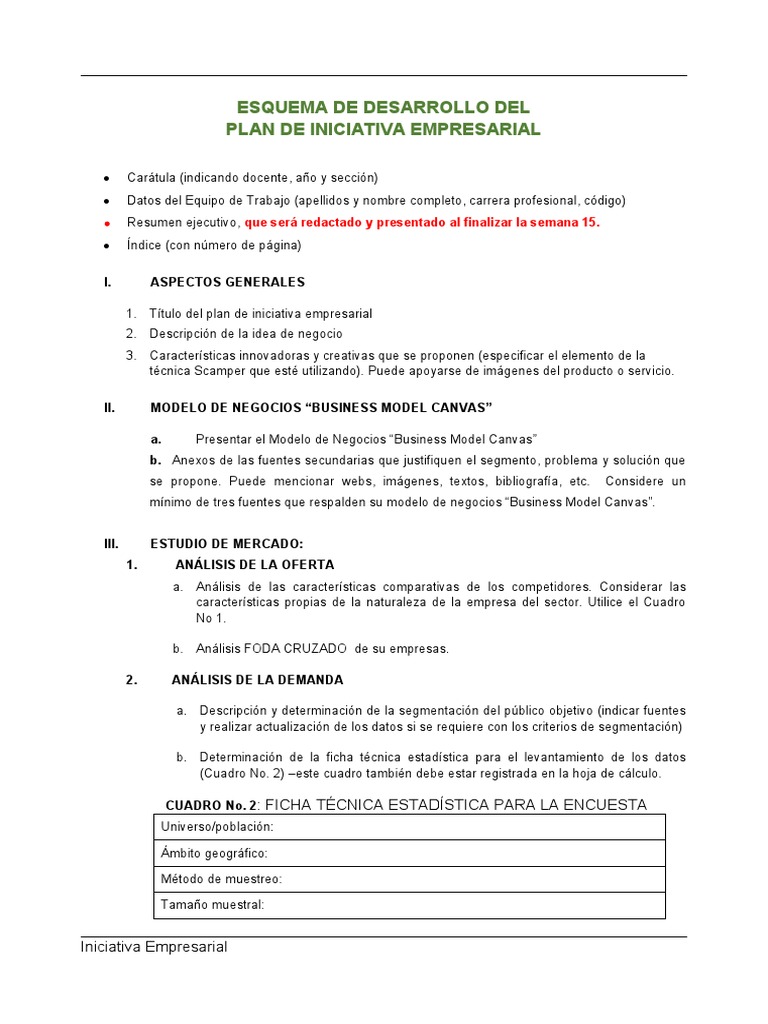 Esquema para Plan de Iniciativa Empresarial | PDF | Producto (Negocio ...