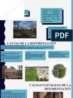 Presentación - Equipo4 Deforestación