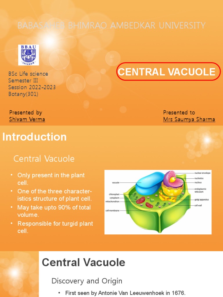 Central Vacuole PDF Vacuole Histology