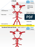 Artery