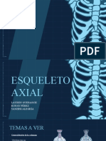 Esqueleto Axial