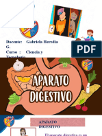 Sistema Digestivo Diapositivas