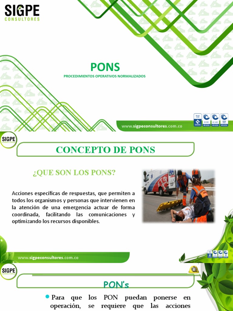 Qué son los PONS y su importancia | PDF