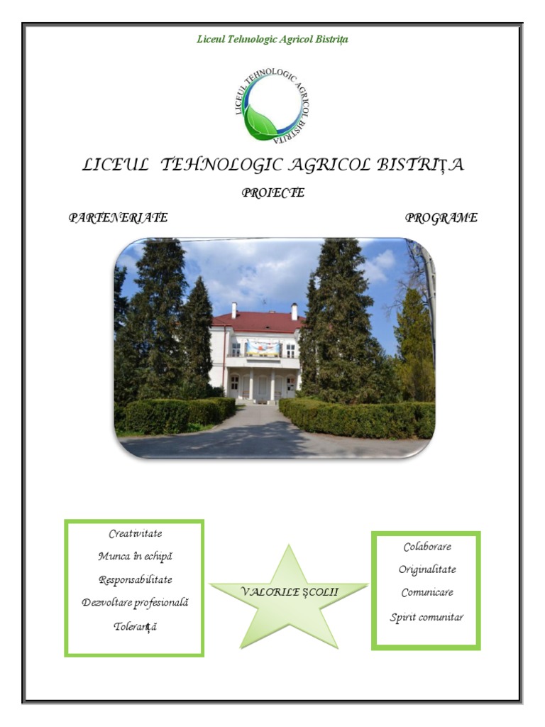 04 Proiecte | PDF
