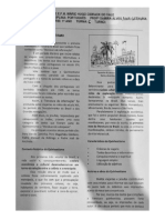 1ºC TD Quinhentismo PDF