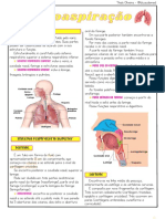 Sistema Respiratoìrio