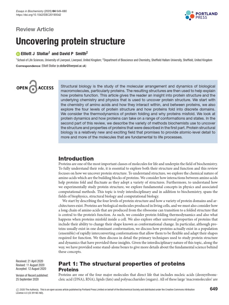 Uncovering Protein Structure Jurnal PDF