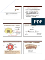 Aula 8 Padroes de Casca-Dendrologia