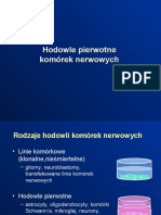 Prezentacja HT-komórki Nerwowe