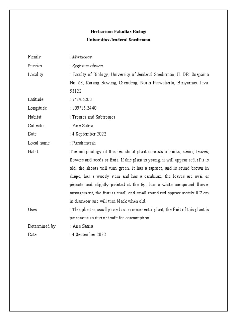 Klasifikasi tanaman sawo manila pdf