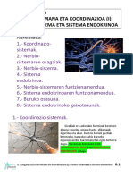 Ikasgaia - Giza Harremana Eta Koordinazioa (I) - Nerbio-Sistema Eta Sistema Endokrinoa