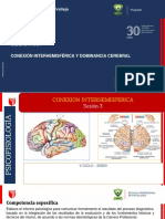 Sesión 3 Conexión Interhemisférica 2022