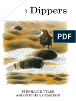03 The Dippers - Chapter2