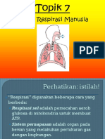 Kuliah 7 Sistem Respirasi