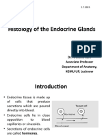 Histology of Endocrine Glands