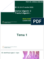 Tema S5 MG RO CA