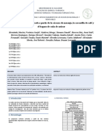 Obtención de carbón activado a partir de residuos agroindustriales