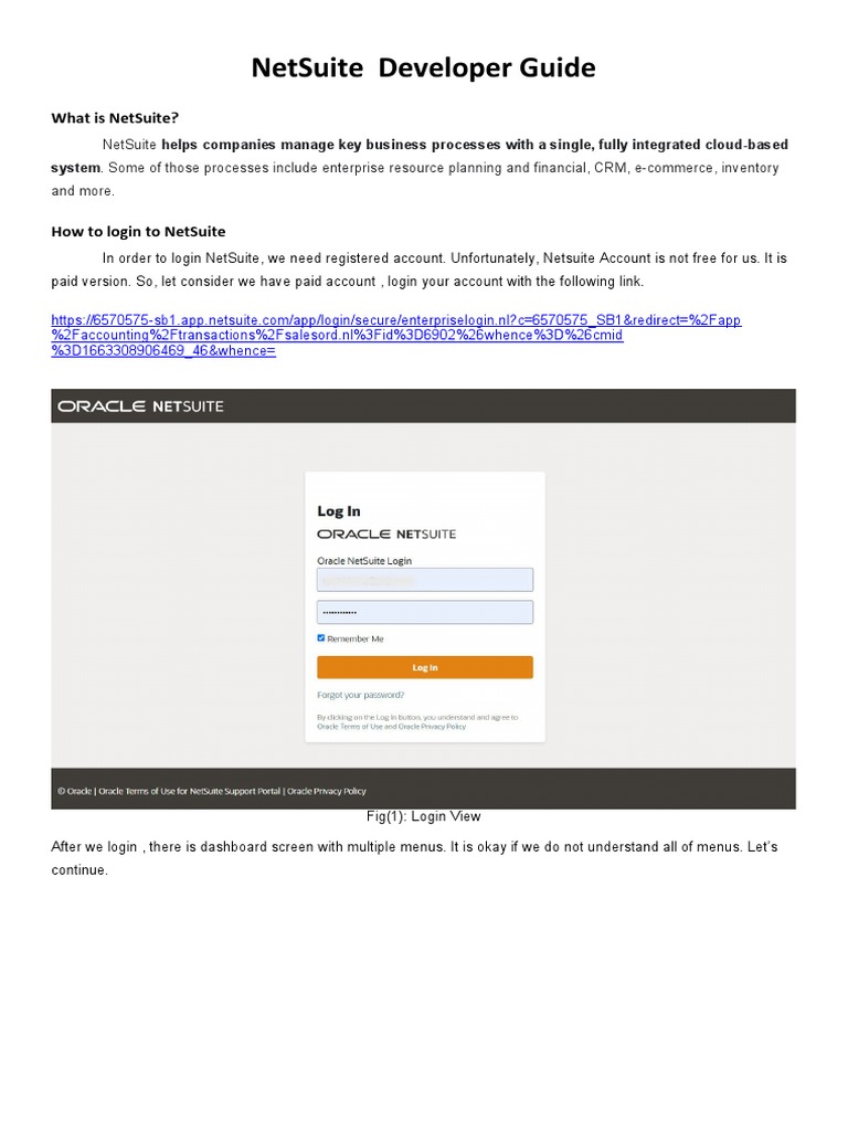 NetSuite Developer Guide | PDF
