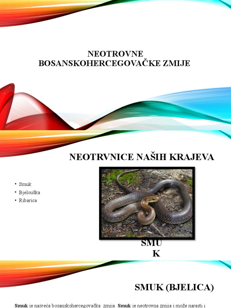 zmije-pdf