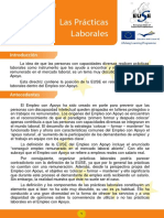 Directriz 5 Las Practicas Laborales