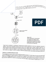 Tetrad Analysis