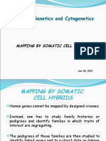 Mapping by Somatic Cell Hybrids Jan 28 2021