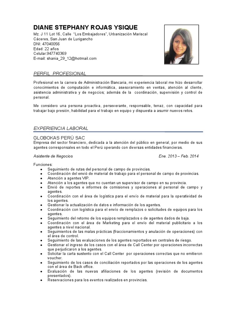Perfil Profesional de Diane Rojas | PDF | Economias | Business