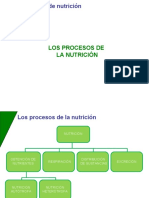 Tipos de Nutrición