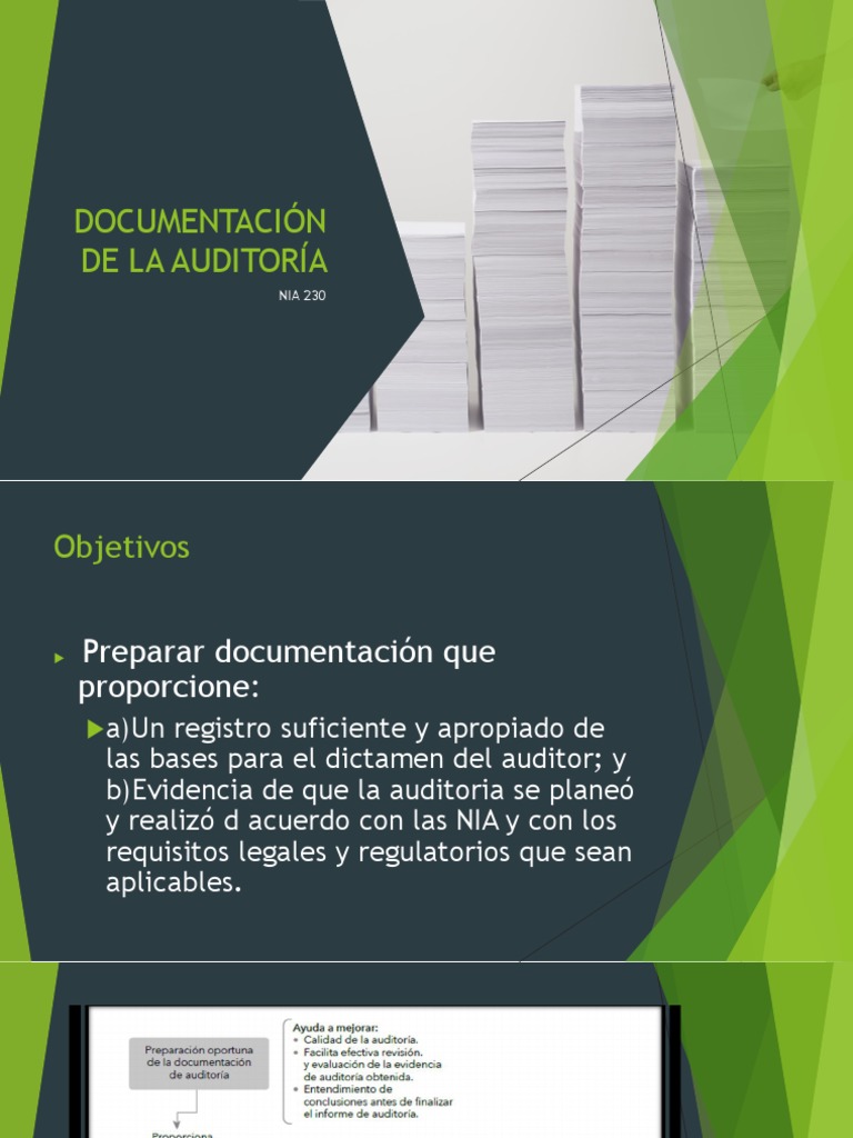 NIA 230 Documentos PDF Auditoría Contralor