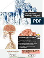 3.1. - Građa I Uloga Živčanog Sustava - 8.2.
