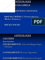 2° AULA - APARELHO LOCOMOTOR- osteologia - Cabeça