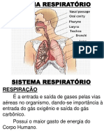 5° AULA - SISTEMA RESPIRATÓRIO1 pdf