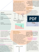 Métodos Anticonceptivos Intrauterinos (DIU)